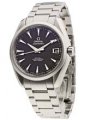 Omega Seamaster Aqua Terra Automatic Gents Watch 231.10.39.21.06.001